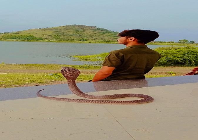 World Snake Day; This is not a snake, but my friend; Thus, people sweat on seeing the snake, but Ajay of Sehore holds it like a toy.
