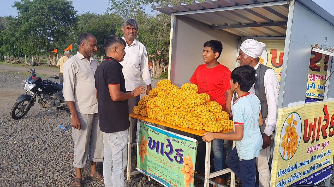 Cultivation of Israeli Kharek in 9 bigha, farmers of Bapada are earning millions this year.