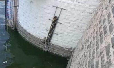 Bhavnagar's Jivadori Shetrunji Dam is 80% filled, 17 low-lying villages have been alerted.