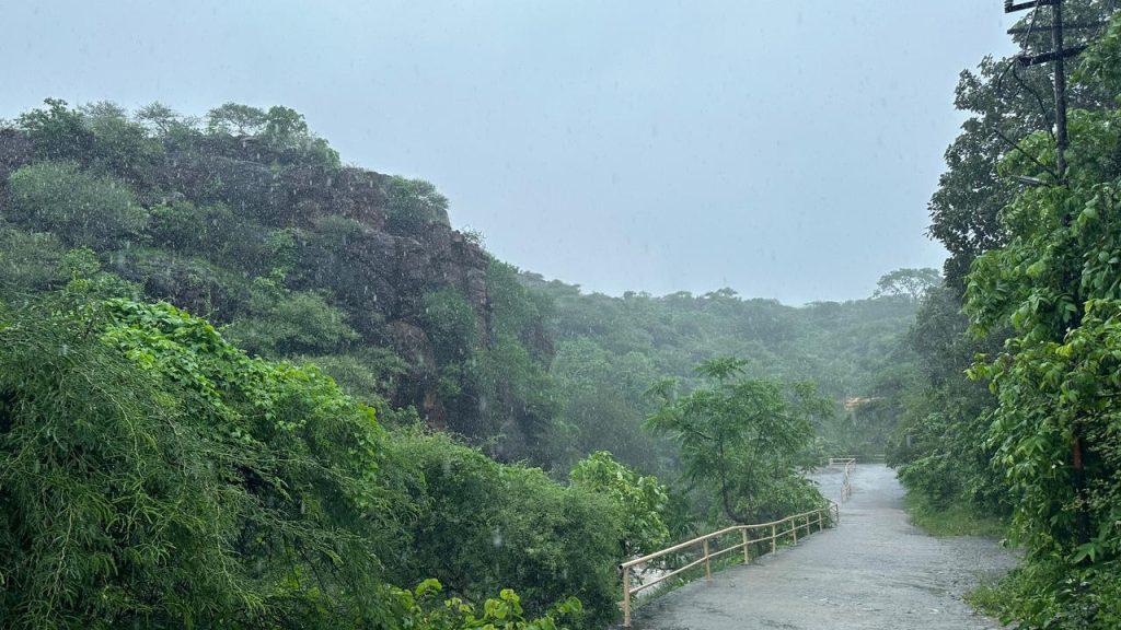 Gautameshwar's beauty took four moons; After Meghmehr, nature blossoms in full bloom, you will also be thrilled to see the scenery.