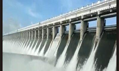 shetrunji-dam-overflow-20-gates-out-of-59-opened-by-one-foot-0-to-2-inches-in-gohilwad