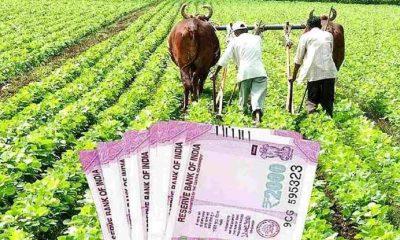 outrage-farmers-tired-of-not-getting-installment-of-pm-kisan-yojana-of-sihore-panthak