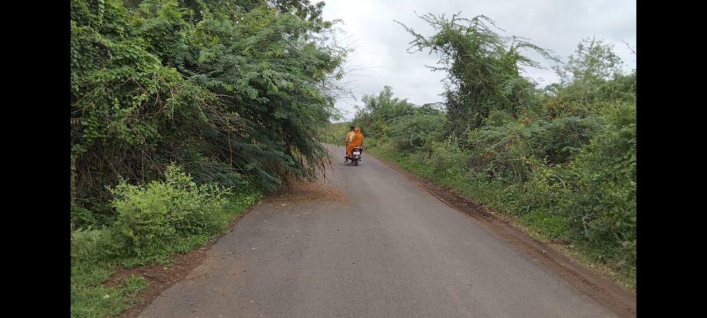 On the Bhadli road in Sihore, the road became narrow due to clumps of mad acacia; A demand was raised to remove the cluster