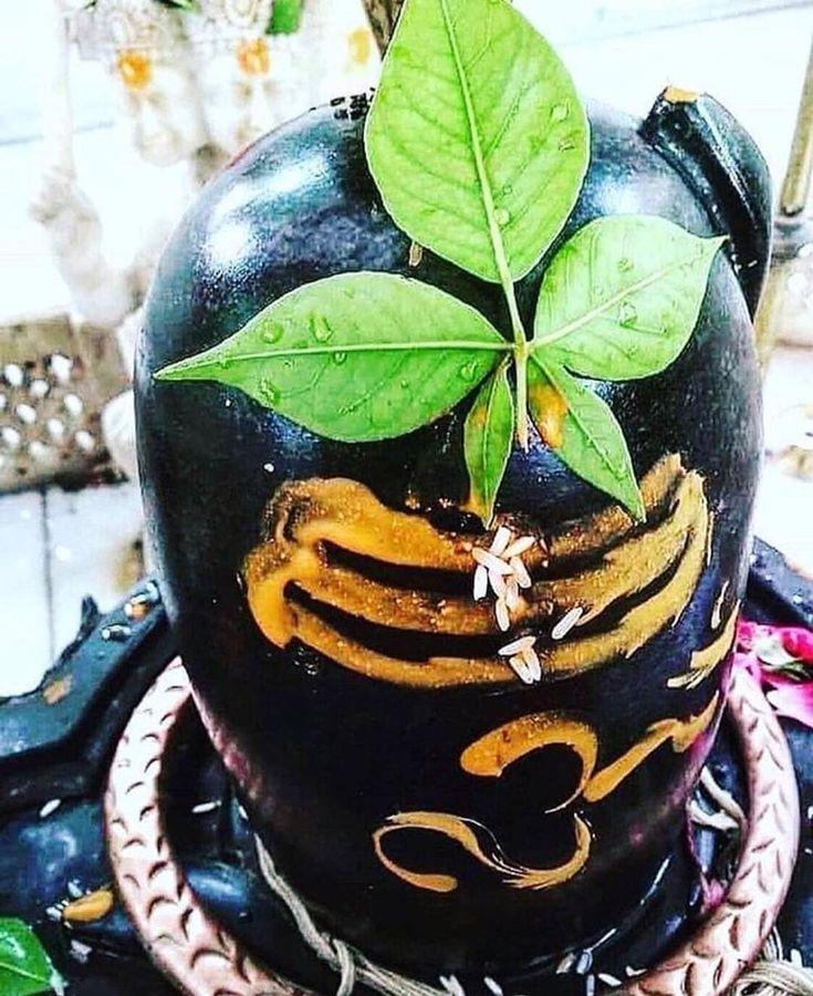 Be sure to do these Belpatra tricks in Savan! All wishes will be fulfilled
