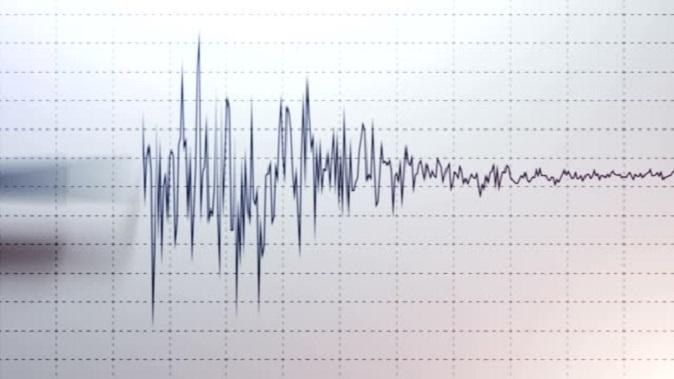 Earthquake tremors felt in Ladakh's Kargil, measured on the Richter scale