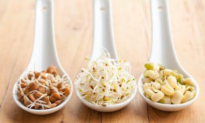 Sprouts are very beneficial for health, do you know the right way to eat them?