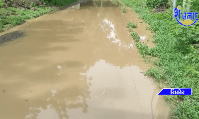 The road built near Sihore railway station is still seeing potholes on the road for three months.