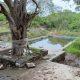 Gautama Kund bathing in the sacred month of Purushottam is another month, so it is necessary to clean Gautama Kund at the earliest.