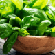 Hidden in sweet basil is the cure for these serious problems