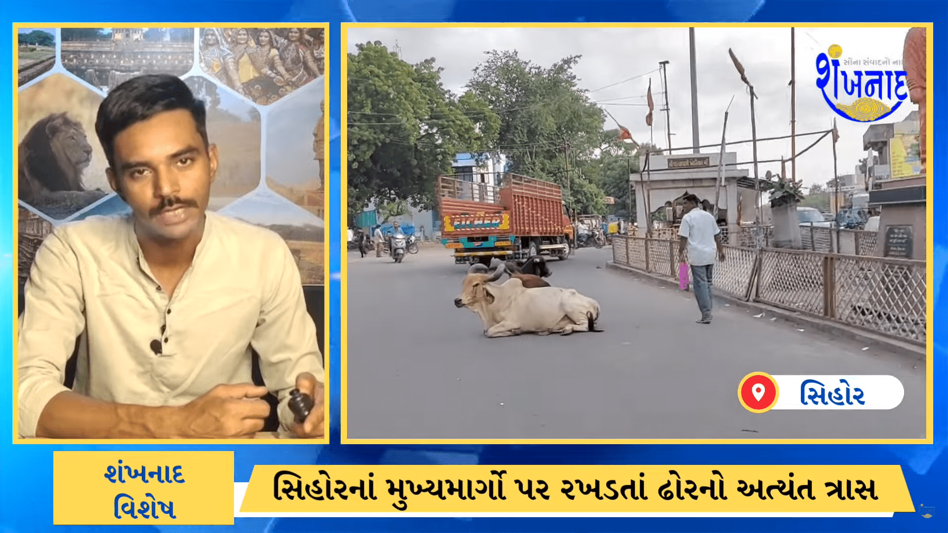 Before something untoward happens, the Sehore system should take appropriate action against stray cattle.