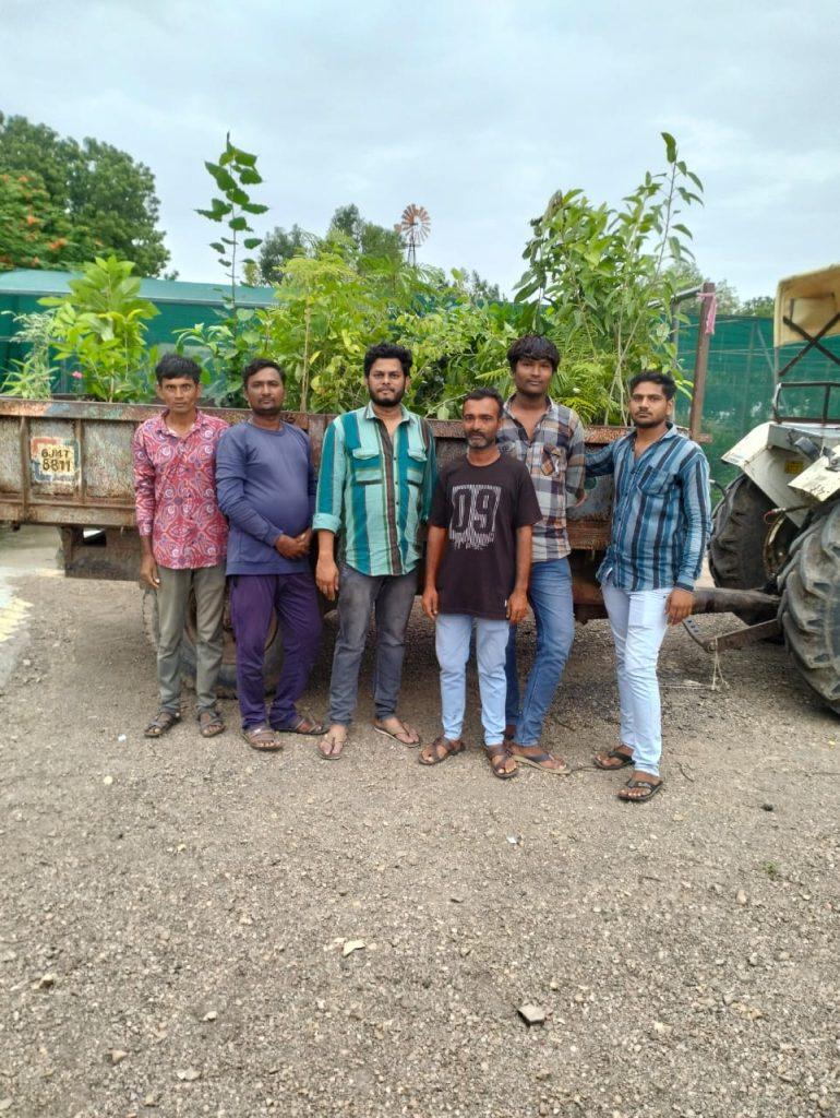 Tree plantation was done by Prakriti Premi Yuva Group in Zaria village of Sihore