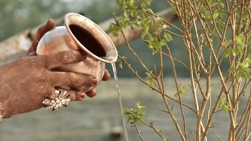 Offer water to Tulsi in this way, happiness and prosperity will stay in the house