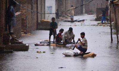 A double whammy of nature on China, first the devastation of floods, now the deepening food crisis