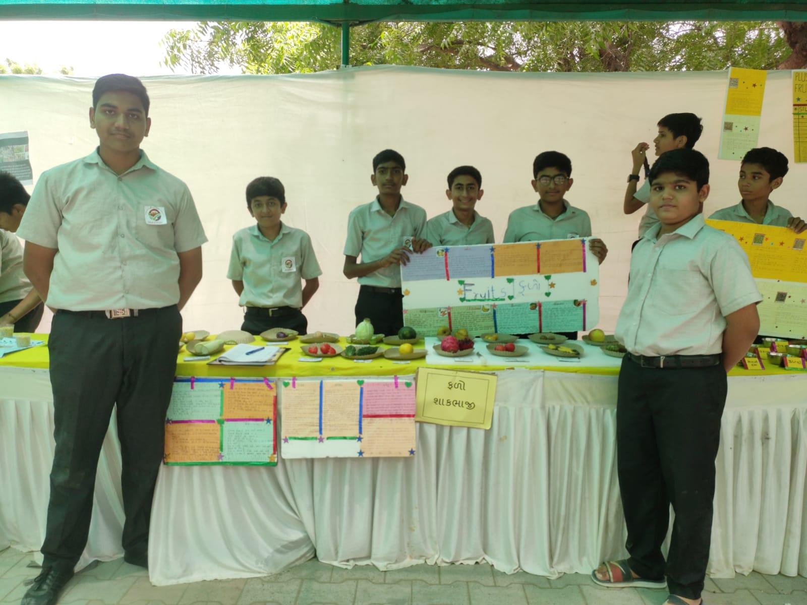 Various projects organized by the students of class-10 of Sihore Gnanmanjari Modern School.