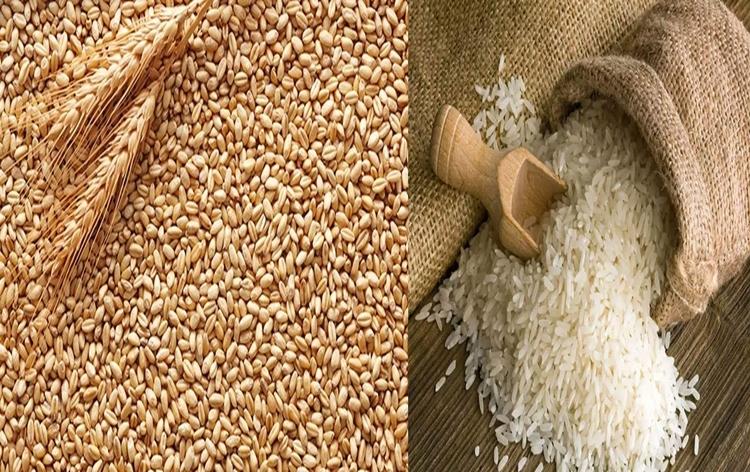 Rice and wheat may soon become cheaper, the government took this decision to control prices