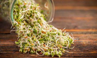 Eat fenugreek sprouts in these 4 diseases not only diabetes, health will get many special benefits