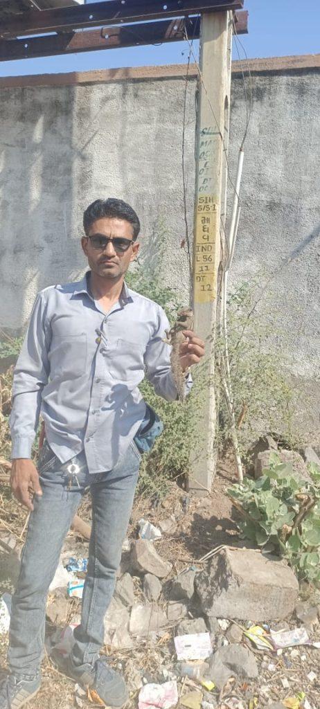 dhavalbhai-rajyaguru-known-as-the-birdman-of-pgvcl-of-sihore