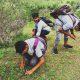 the-students-of-ishwariya-of-sihore-planted-khakhara-seeds-in-the-hilly-area