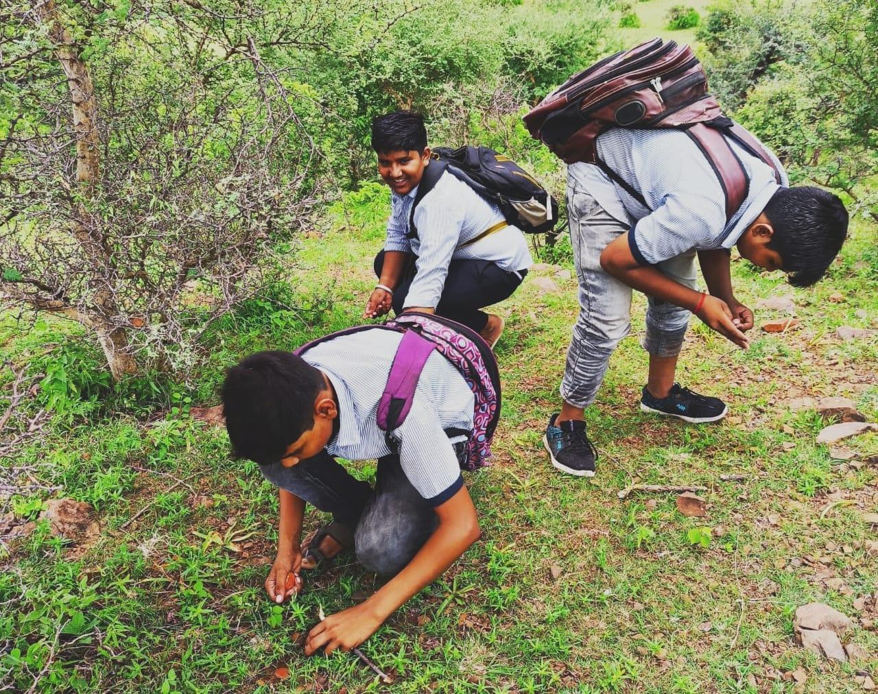 the-students-of-ishwariya-of-sihore-planted-khakhara-seeds-in-the-hilly-area
