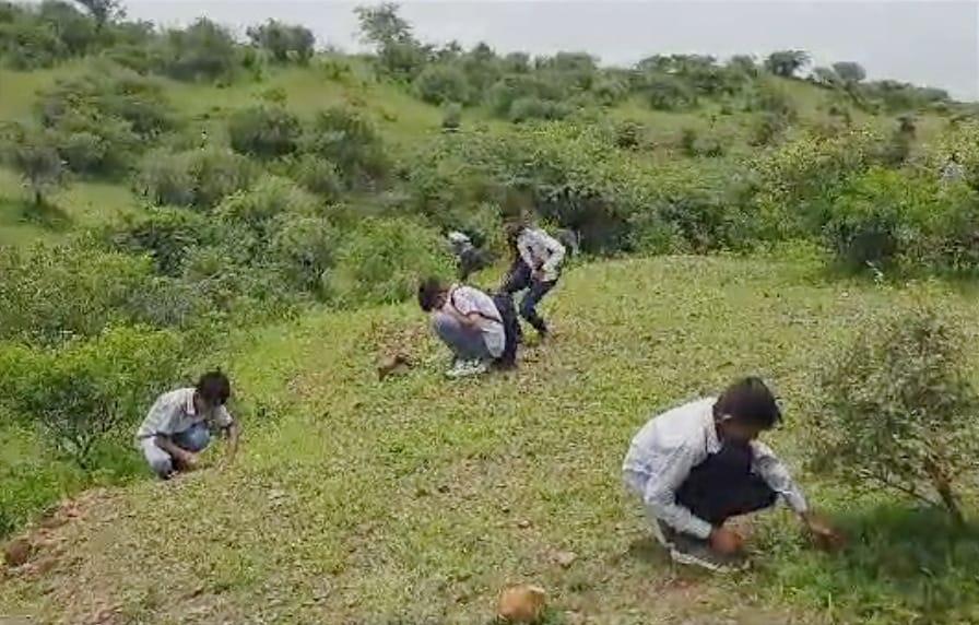the-students-of-ishwariya-of-sihore-planted-khakhara-seeds-in-the-hilly-area