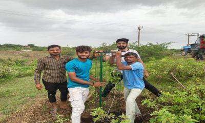 Tree plantation was done by Prakriti Premi Yuva Group in Zaria village of Sihore