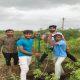Tree plantation was done by Prakriti Premi Yuva Group in Zaria village of Sihore