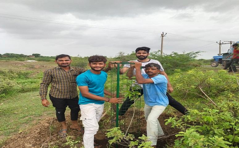 Tree plantation was done by Prakriti Premi Yuva Group in Zaria village of Sihore