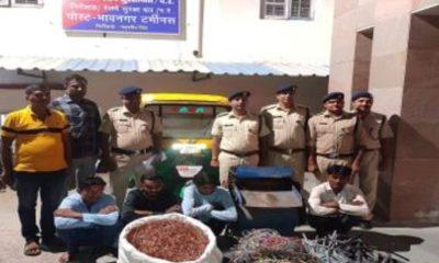 A gang of smugglers who were preparing to steal and sell cable wires from Sehore railway station was caught