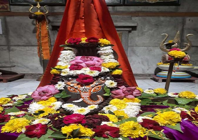 Organized Lagurudra in Sarveshwar Mahadev Dham, inspired by P. Sri Dayargiri Bapu