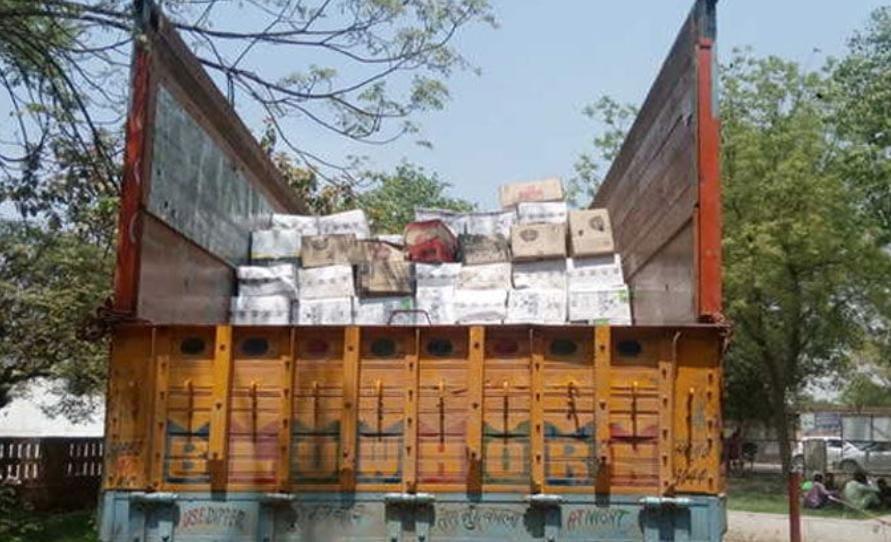 In Tagadi village of Ghogha, 3 persons collided with a truck full of liquor and beer