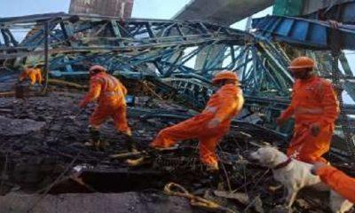 Thane accident death toll rises to 17, PM expresses grief, announces compensation