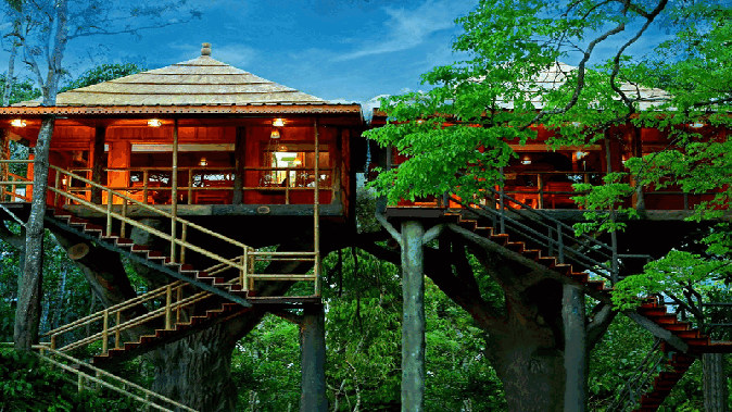 If you want to spend moments of peace in a tree house amidst wildlife, visit this city in Kerala.