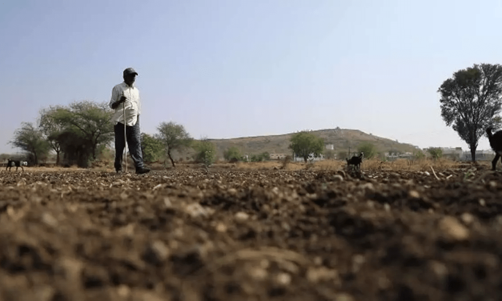 Bhavnagar panthak farmers' cash crops of two months started drying up, when will the rains come?