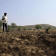 Bhavnagar panthak farmers' cash crops of two months started drying up, when will the rains come?