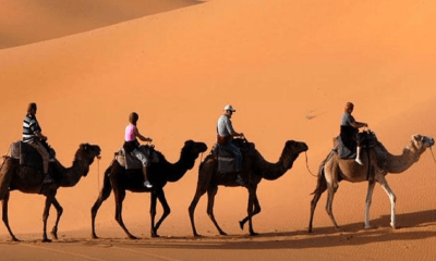 If you are planning to visit the desert, don't make these mistakes, the trip will be amazing with fun experiences