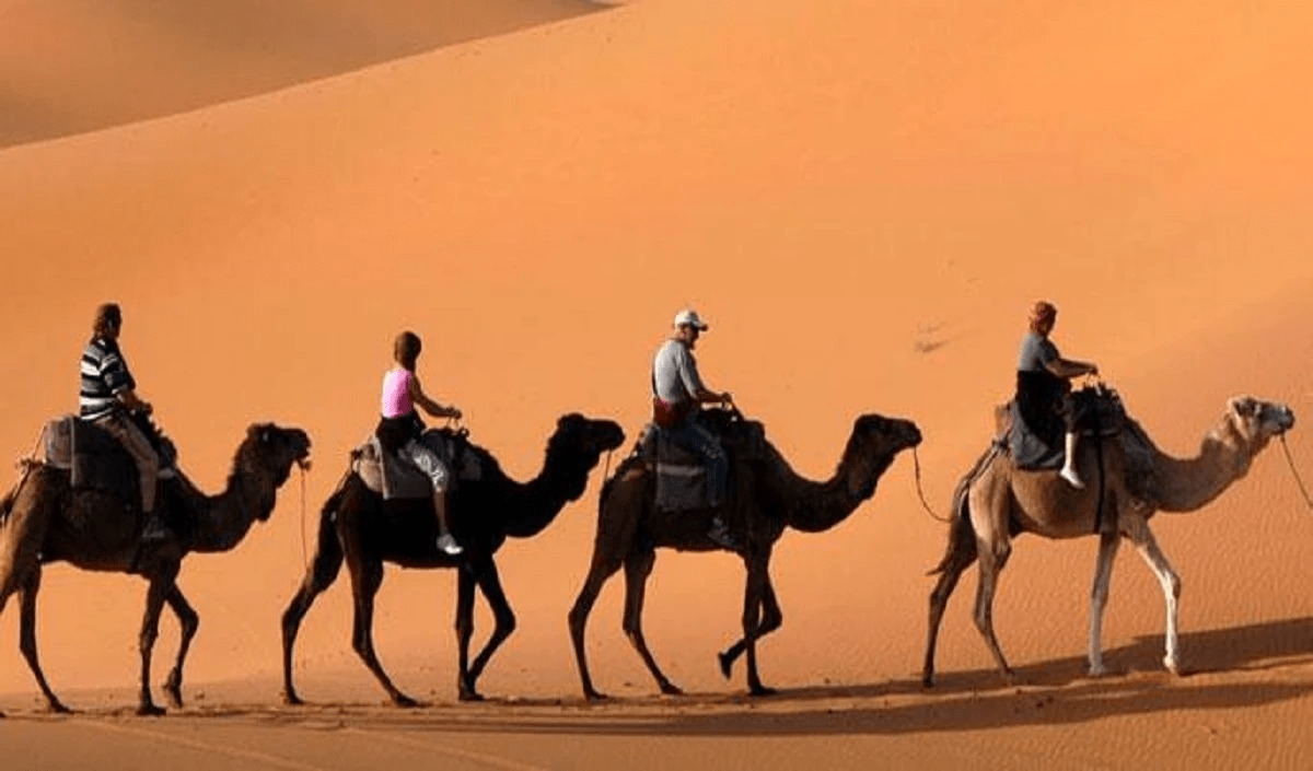 If you are planning to visit the desert, don't make these mistakes, the trip will be amazing with fun experiences